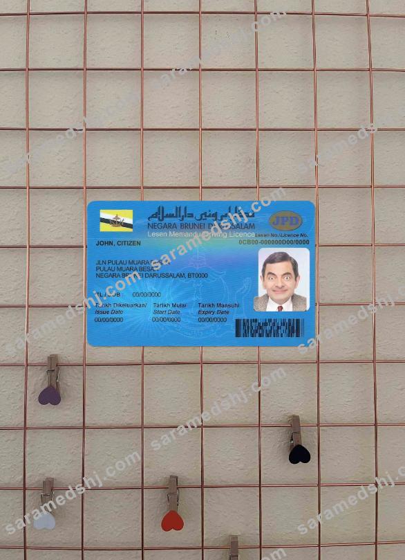 Brunei driving license photolook FRONT